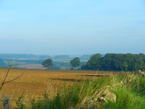 Image looking towards Litchfield Farm
